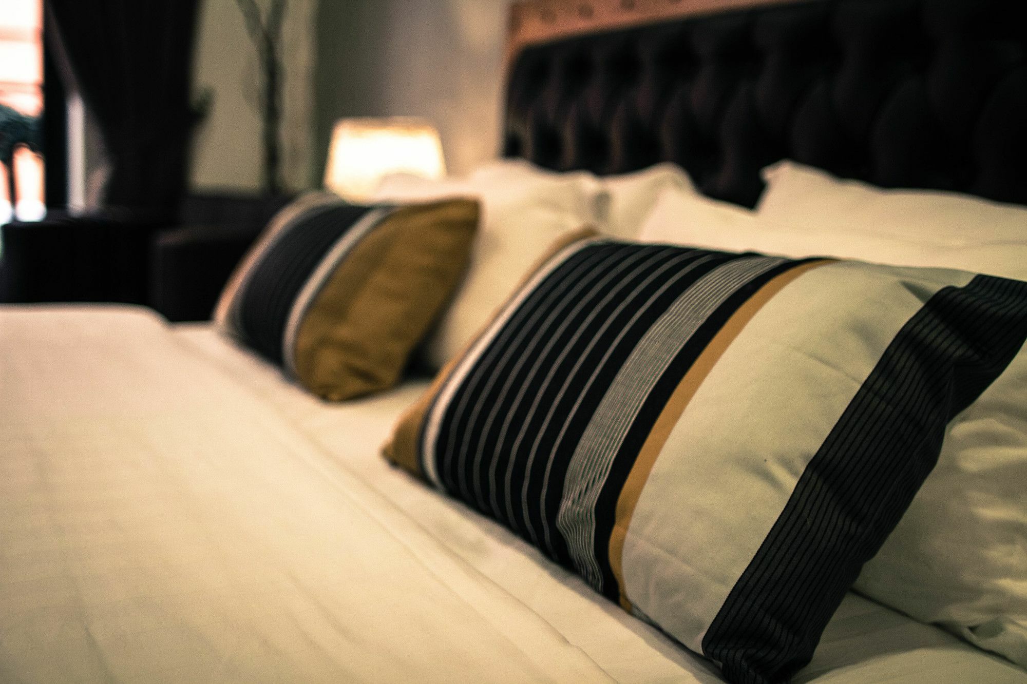 Hotel Lavanya Boutique